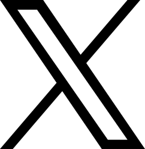 x icon